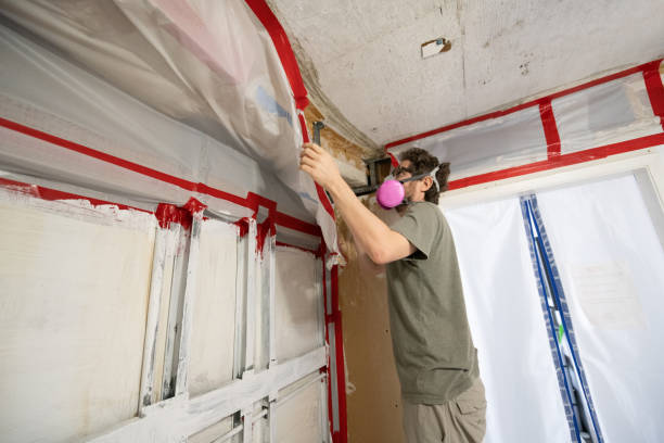 Best Crawl Space Mold Remediation  in Atkins, IA