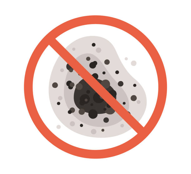 Best Mold Remediation for Healthcare Facilities  in Atkins, IA