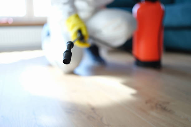 Mold Remediation for Rental Properties in Atkins, IA