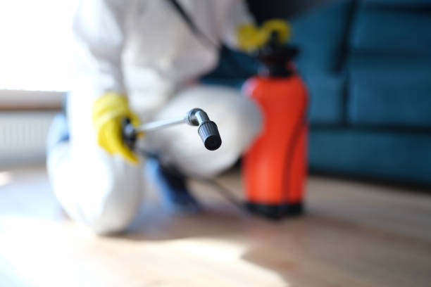 Best HVAC Mold Inspection and Cleaning  in Atkins, IA