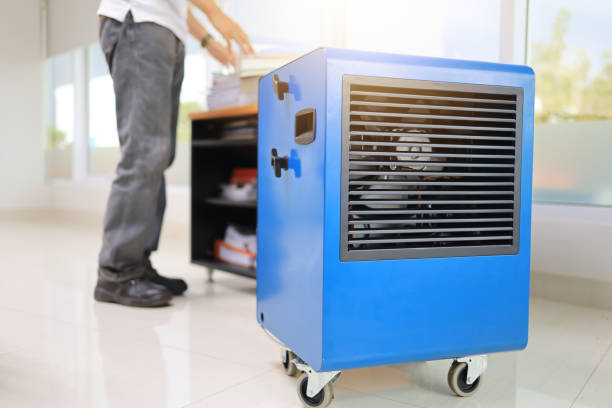 Best Mold Prevention Services  in Atkins, IA
