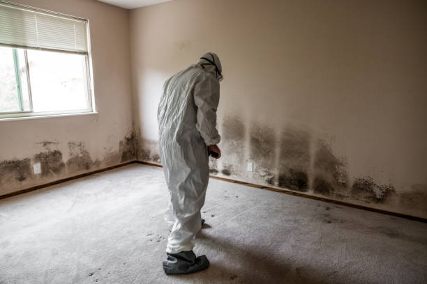 Best Real Estate Mold Inspection  in Atkins, IA