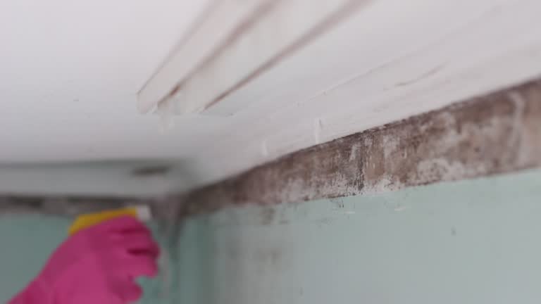 Best Biohazard Mold Removal  in Atkins, IA